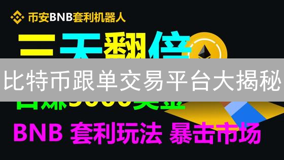 比特币跟单交易平台大揭秘：新手也能轻松赚钱？